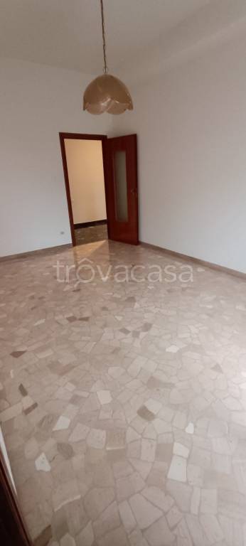 appartamento in affitto a Bologna in zona Murri