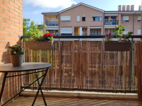 appartamento in affitto a Bologna in zona San Vitale