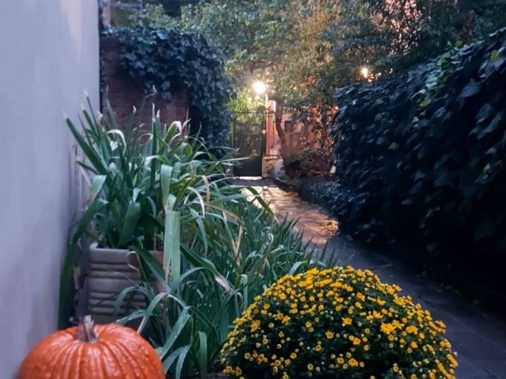 appartamento in affitto a Bologna in zona Centro Storico