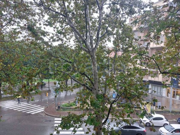 appartamento in affitto a Bologna in zona Saffi