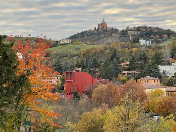 appartamento in affitto a Bologna in zona Saragozza