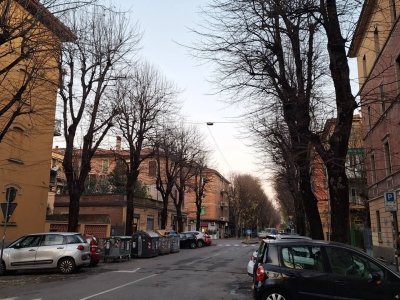 casa indipendente in affitto a Bologna
