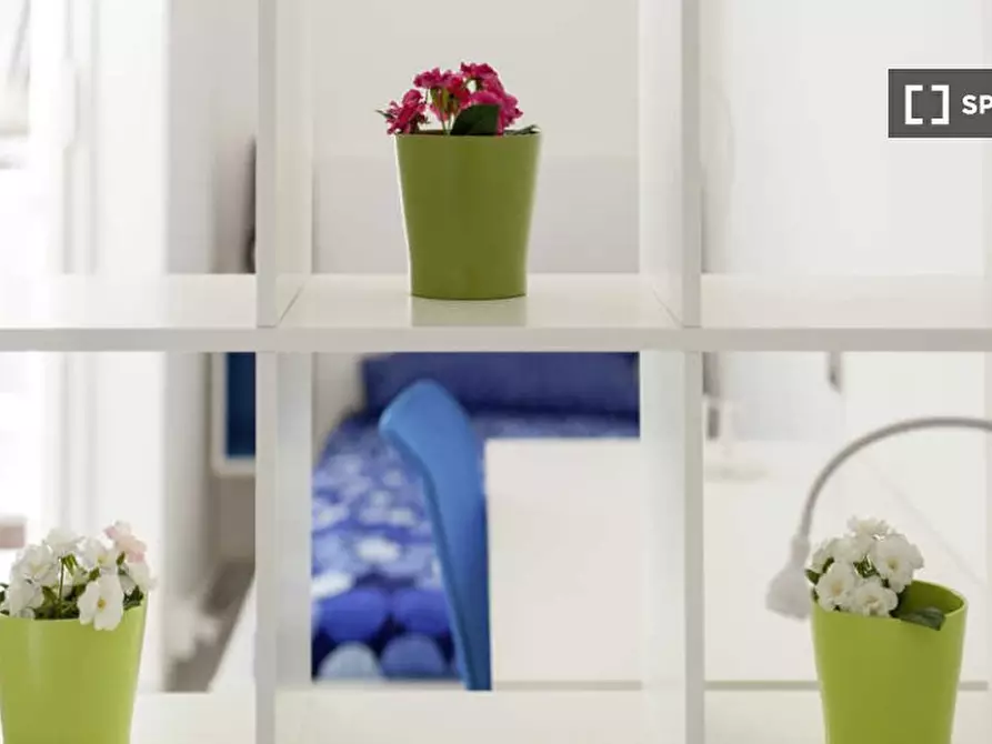 appartamento in affitto a Bologna