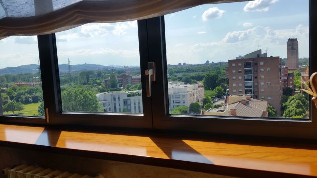 appartamento in affitto a Bologna in zona San Vitale