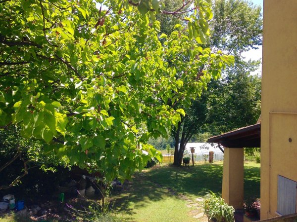 appartamento in affitto a Bologna in zona Saragozza