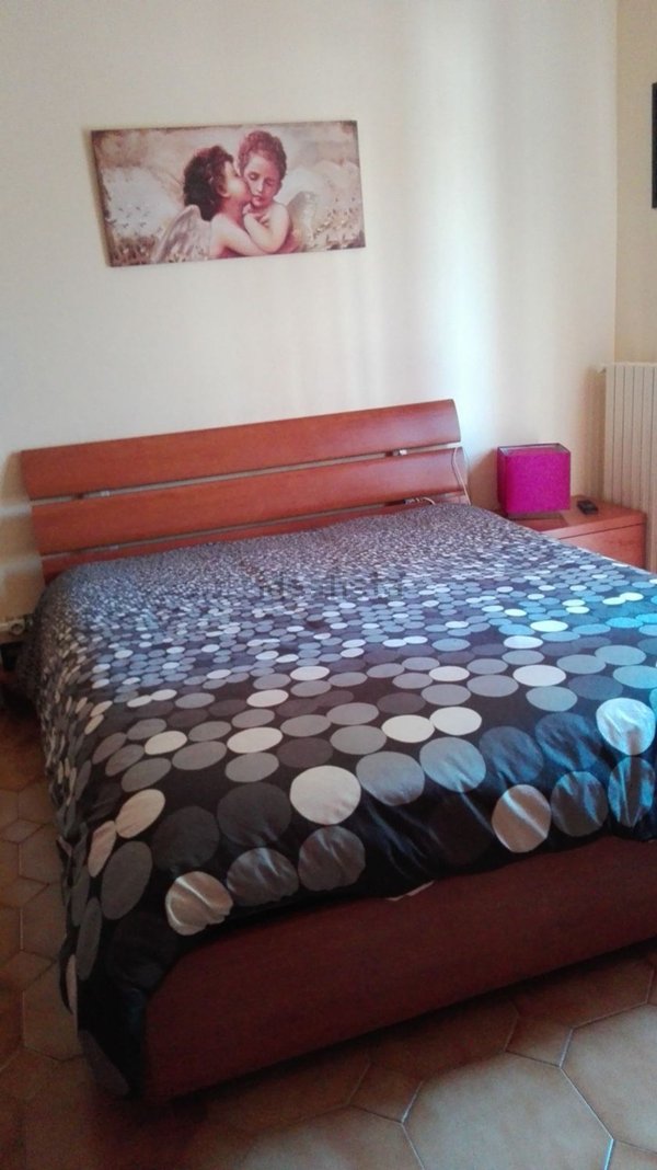 appartamento in affitto a Bologna