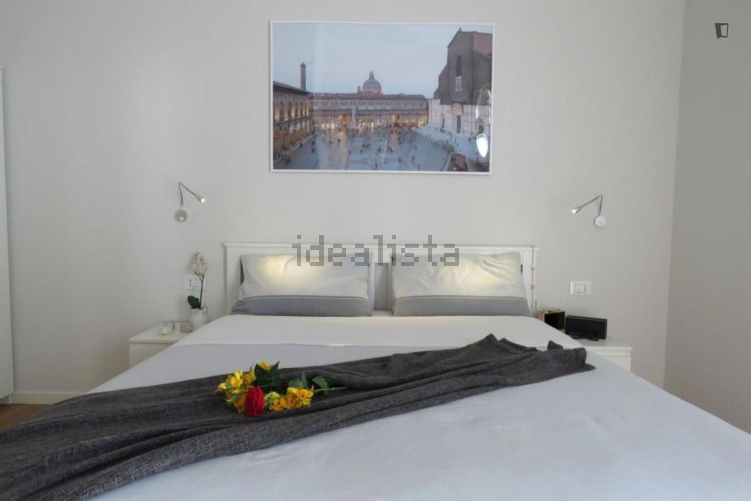 appartamento in affitto a Bologna