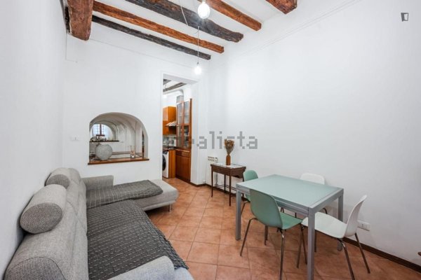 appartamento in affitto a Bologna in zona Santo Stefano