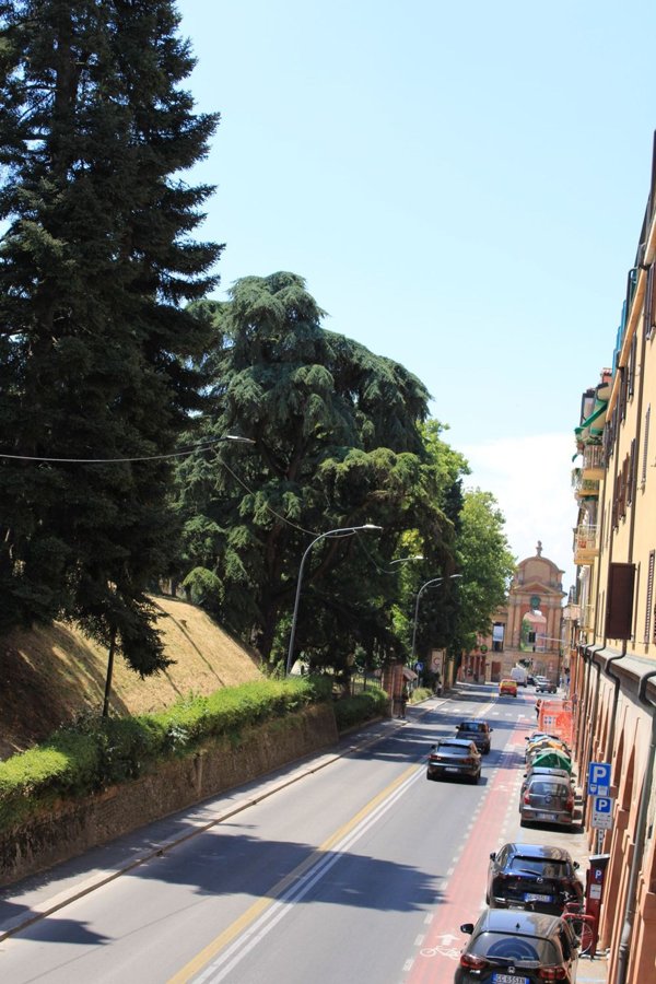 appartamento in affitto a Bologna in zona Saragozza