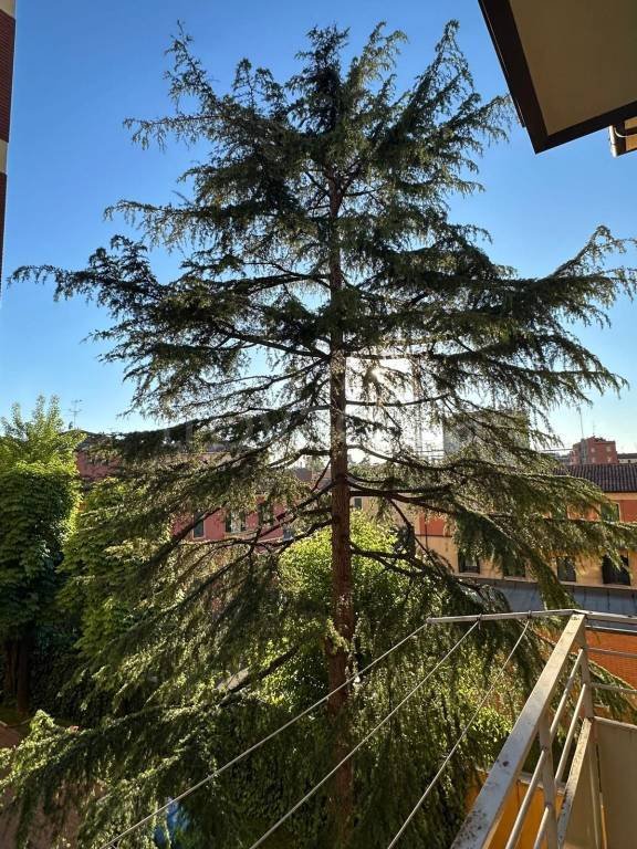 appartamento in affitto a Bologna in zona Centro Storico