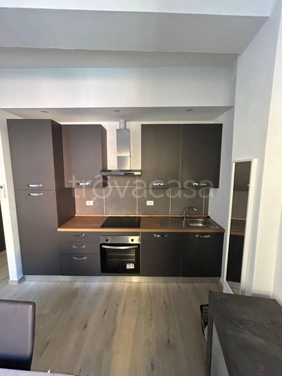 appartamento in affitto a Bologna in zona Santo Stefano