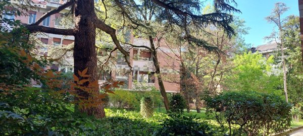 appartamento in affitto a Bologna in zona Saragozza