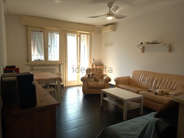 appartamento in affitto a Bologna