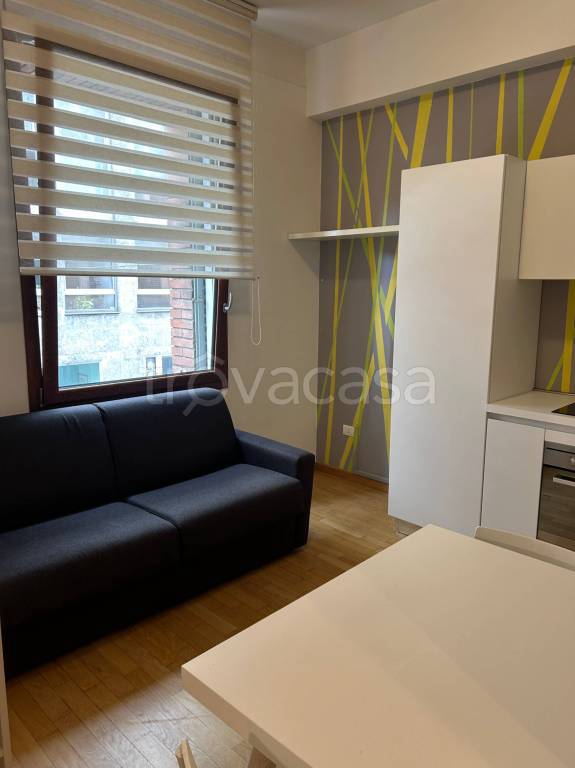 appartamento in affitto a Bologna in zona Santo Stefano