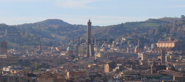 appartamento in affitto a Bologna