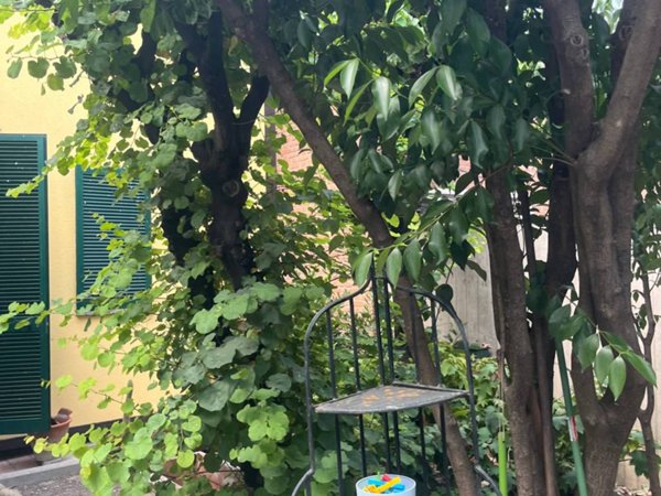 appartamento in affitto a Bologna in zona San Vitale