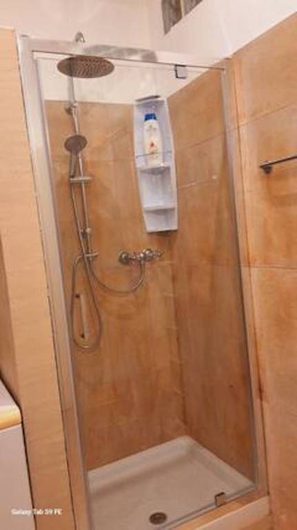 appartamento in affitto a Bologna in zona Centro Storico