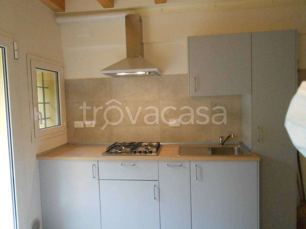 appartamento in affitto a Bologna