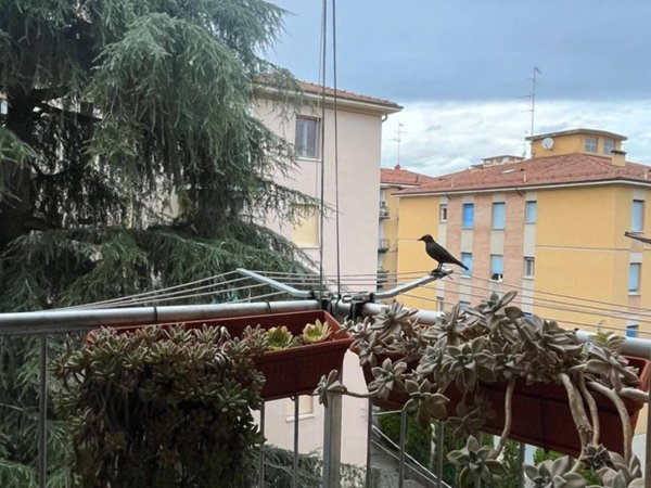 appartamento in affitto a Bologna in zona Savena
