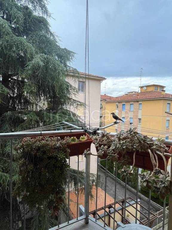 appartamento in affitto a Bologna