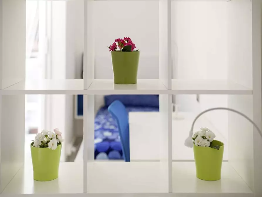 appartamento in affitto a Bologna