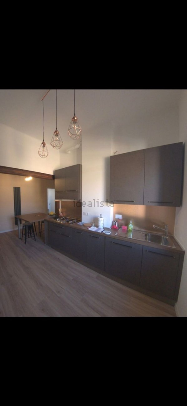 appartamento in affitto a Bologna in zona Santo Stefano