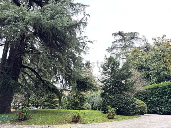 appartamento in affitto a Bologna in zona Santo Stefano