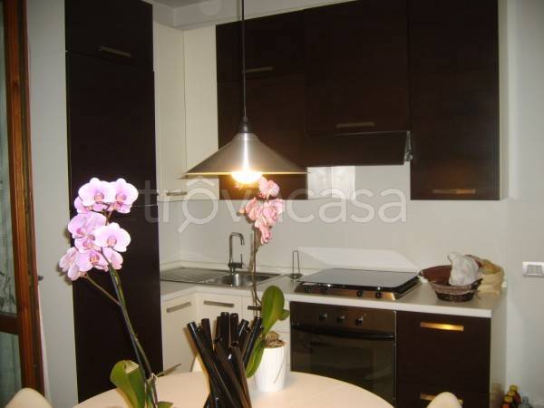 appartamento in affitto a Bologna in zona Saffi