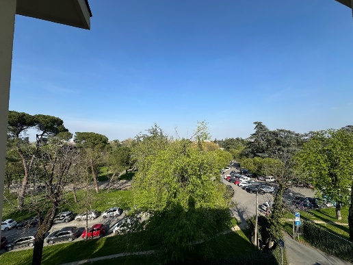 appartamento in affitto a Bologna in zona Santo Stefano