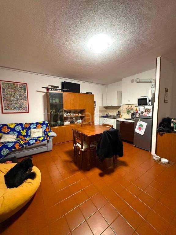 appartamento in affitto a Bologna