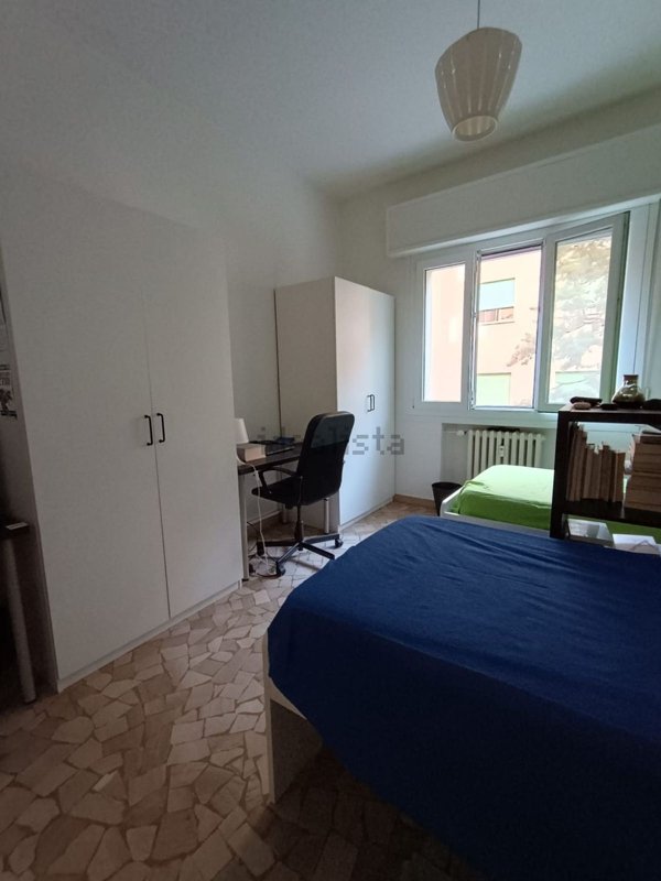 appartamento in affitto a Bologna