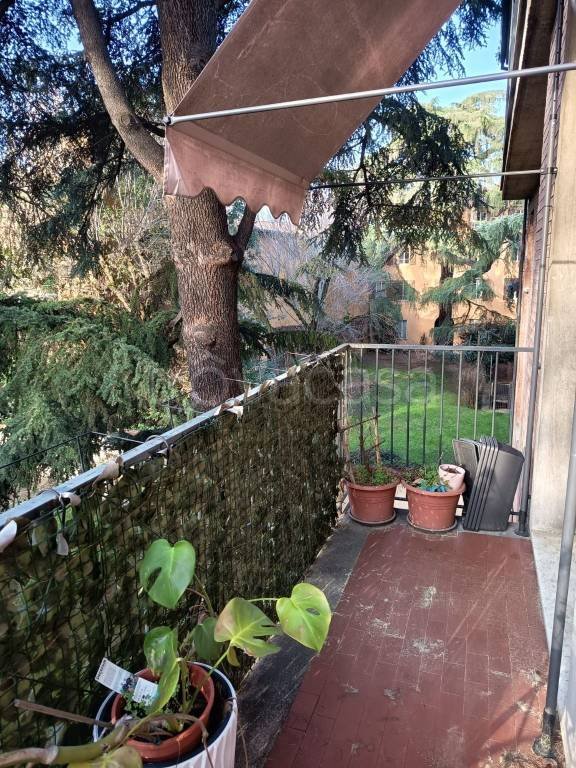 appartamento in affitto a Bologna in zona Santo Stefano