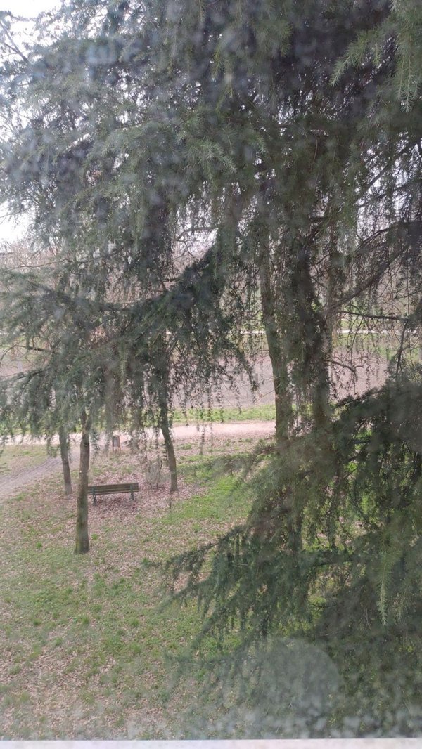 appartamento in affitto a Bologna in zona Pilastro