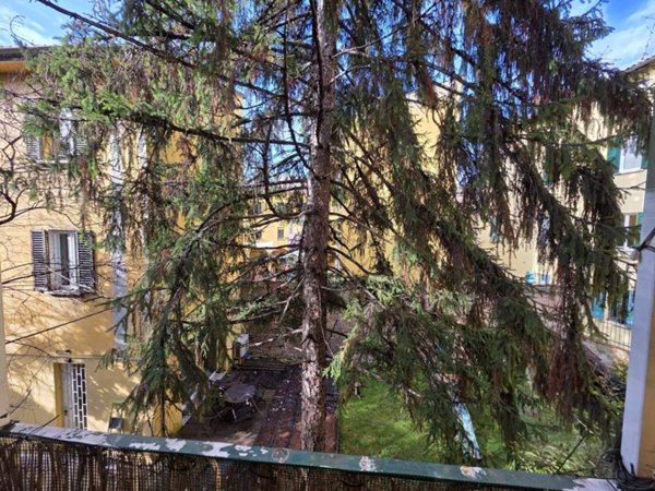 appartamento in affitto a Bologna in zona Centro Storico