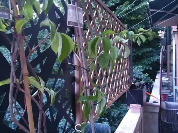 negozio in affitto a Bologna in zona Murri