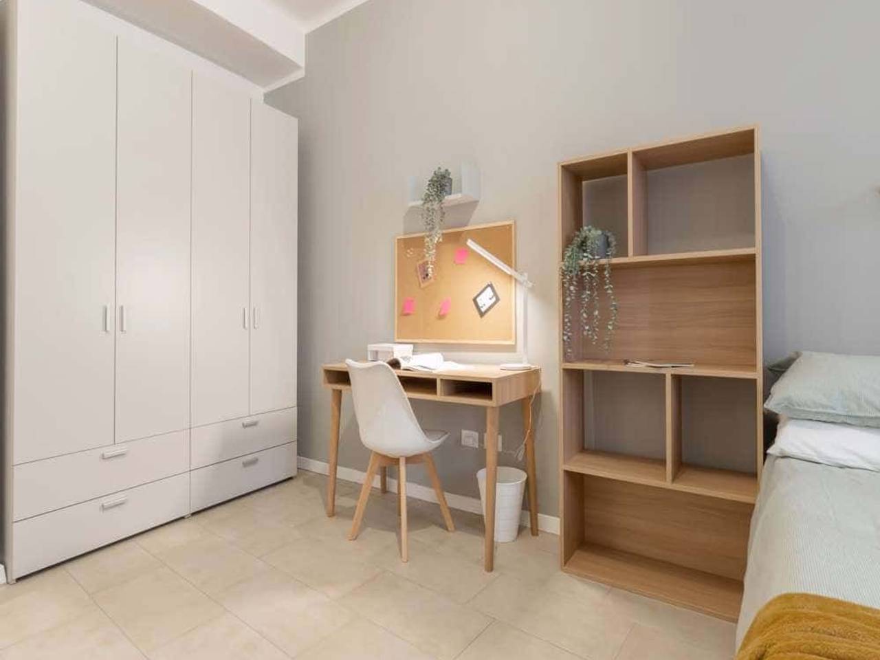 negozio in affitto a Bologna in zona Centro Storico