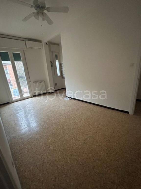 appartamento in affitto a Bologna in zona Santa Viola