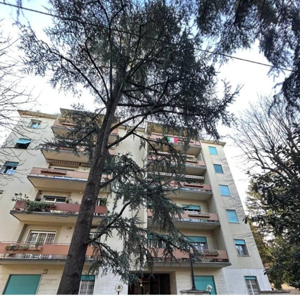 appartamento in affitto a Bologna in zona Santo Stefano