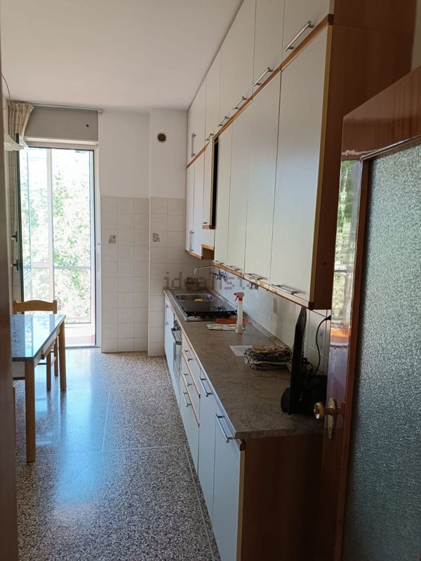 appartamento in affitto a Bologna