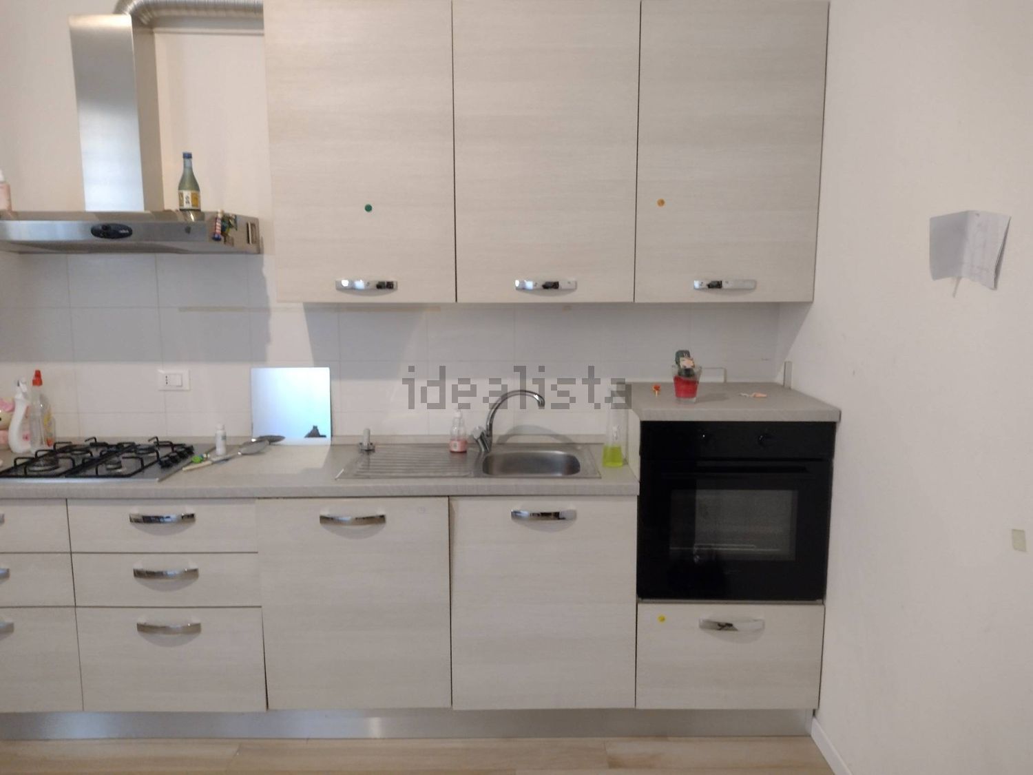 appartamento in affitto a Bologna in zona Saffi