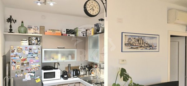 appartamento in affitto a Bologna in zona San Vitale