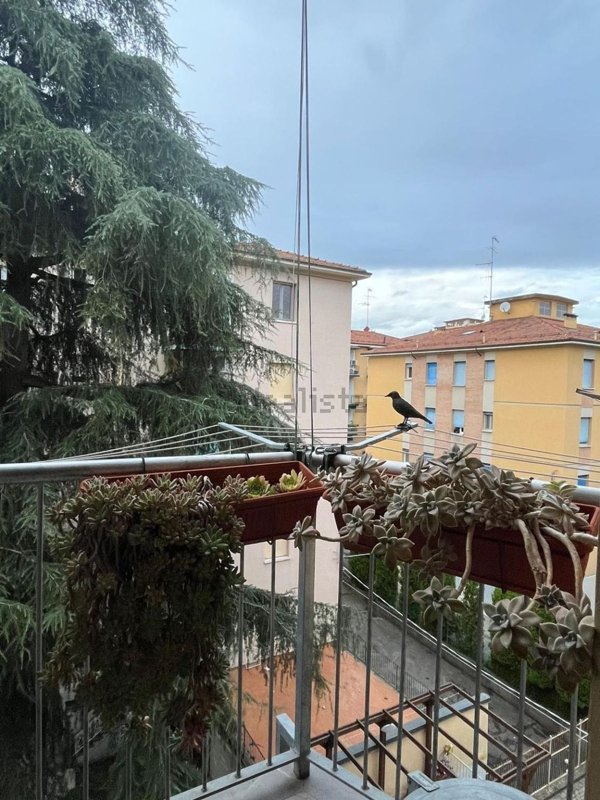 appartamento in affitto a Bologna in zona San Ruffillo