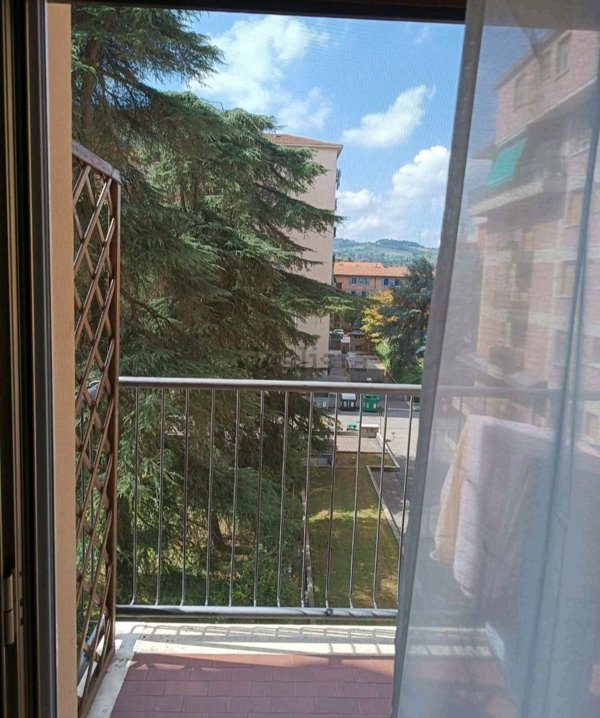 appartamento in affitto a Bologna