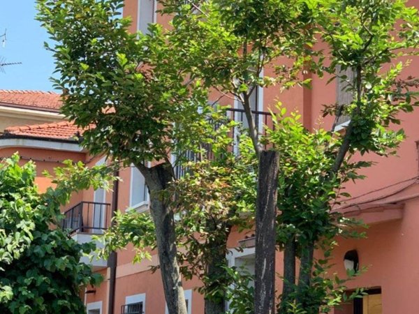 appartamento in affitto a Bologna in zona Quartiere Navile