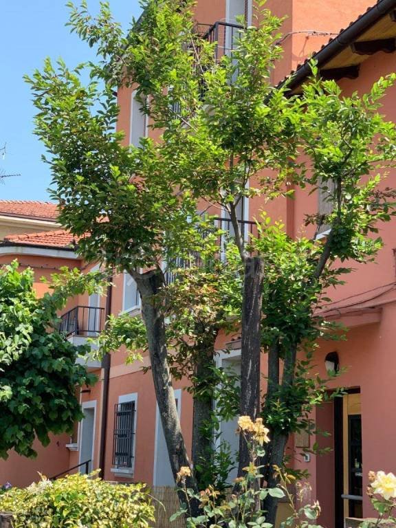 appartamento in affitto a Bologna in zona Quartiere Navile