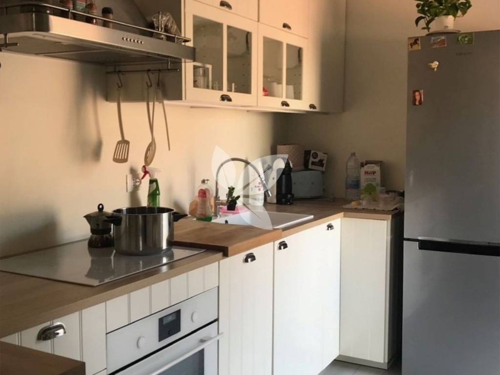 appartamento in affitto a Bologna in zona Centro Storico