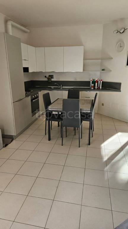 appartamento in affitto a Bologna in zona Murri