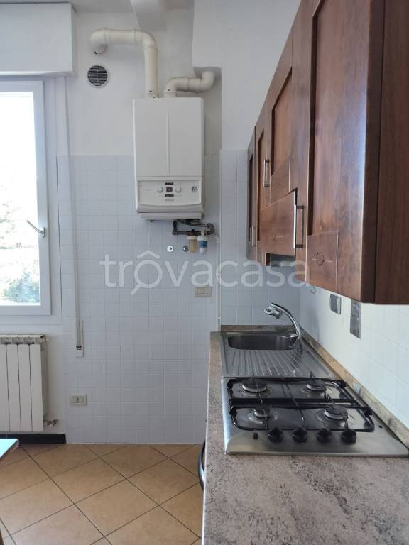 appartamento in affitto a Bologna in zona Saragozza