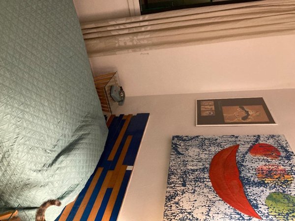 camera singola in affitto a Bologna in zona Saffi