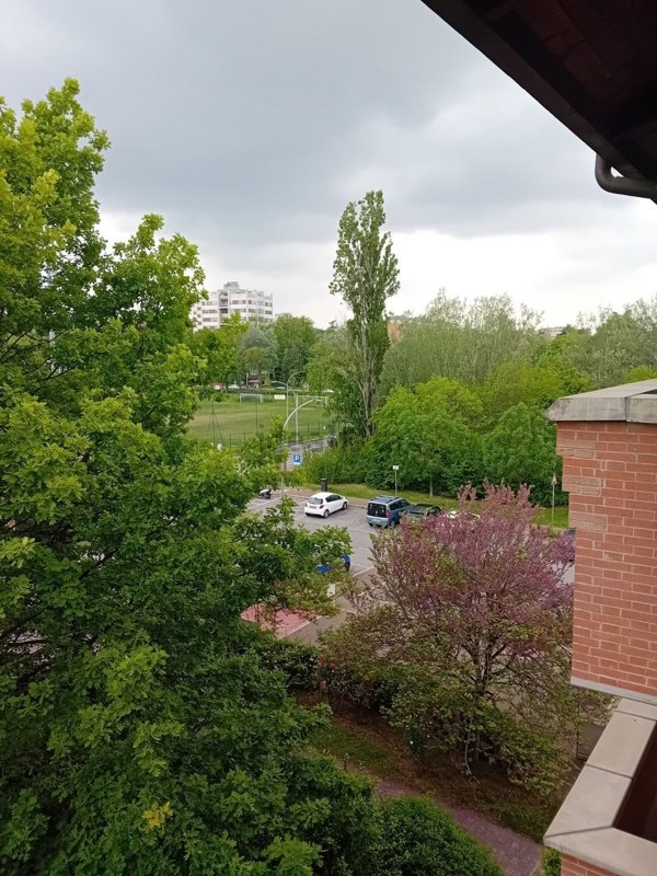 appartamento in affitto a Bologna